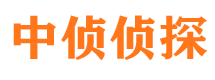 赤壁市私家侦探